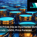 Crude Oil Prices Dip as Inventories Shrink by 1.6M Barrels – USOIL Price Forecast