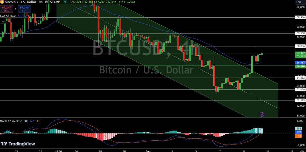 Bitcoin Price Chart - Source: Tradingview