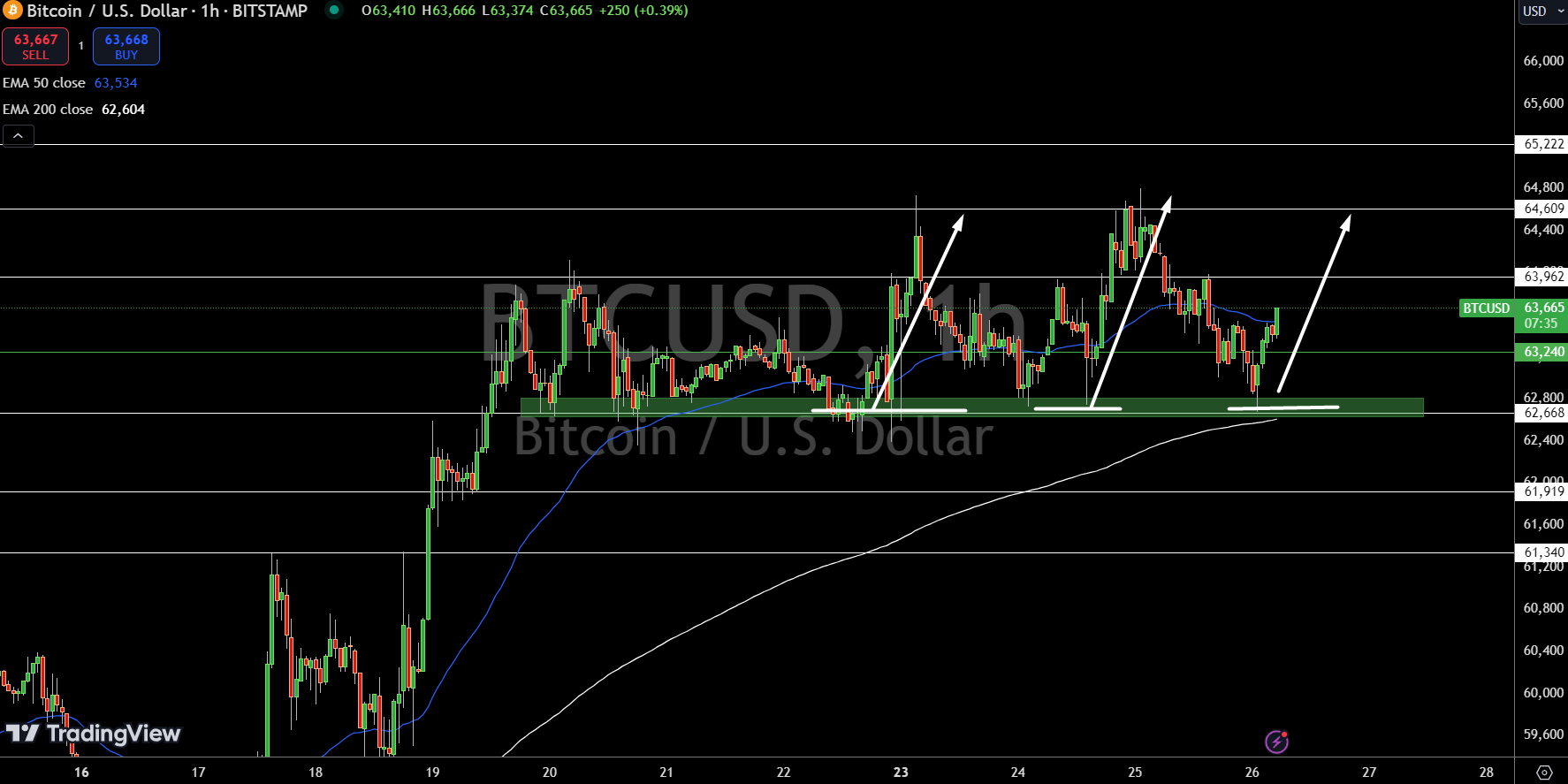 Bitcoin Price Chart - Source: Tradingview
