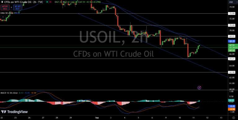Crude Oil Prices Near $67 as OPEC Trims 2024 Demand Outlook by 0.08M Barrels