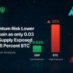 XRP Quantum Risk Lower Than Bitcoin as Only 0.03 Percent Supply Exposed Versus 35 Percent BTC