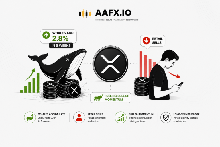 XRP Whales Add 2.8% in 5 Weeks as Retail Sells, Fueling Bullish Momentum